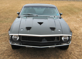 Illustration for article titled '69 Shelby GT500